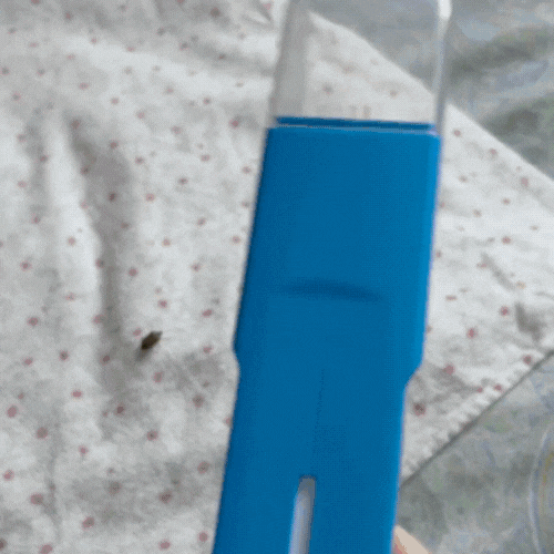 BugGear™ Bug Catcher